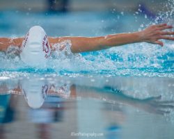 Varsity Swimming – Aberdeen, Havre de Grace, Joppatowne
